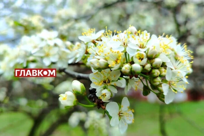 In der Ukraine ist es bewölkt mit Aufhellungen: Wettervorhersage für den 7. Mai