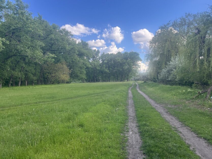 Ukraine will be enveloped by the May heat: meteorologist Didenko warned about an unpleasant nuance