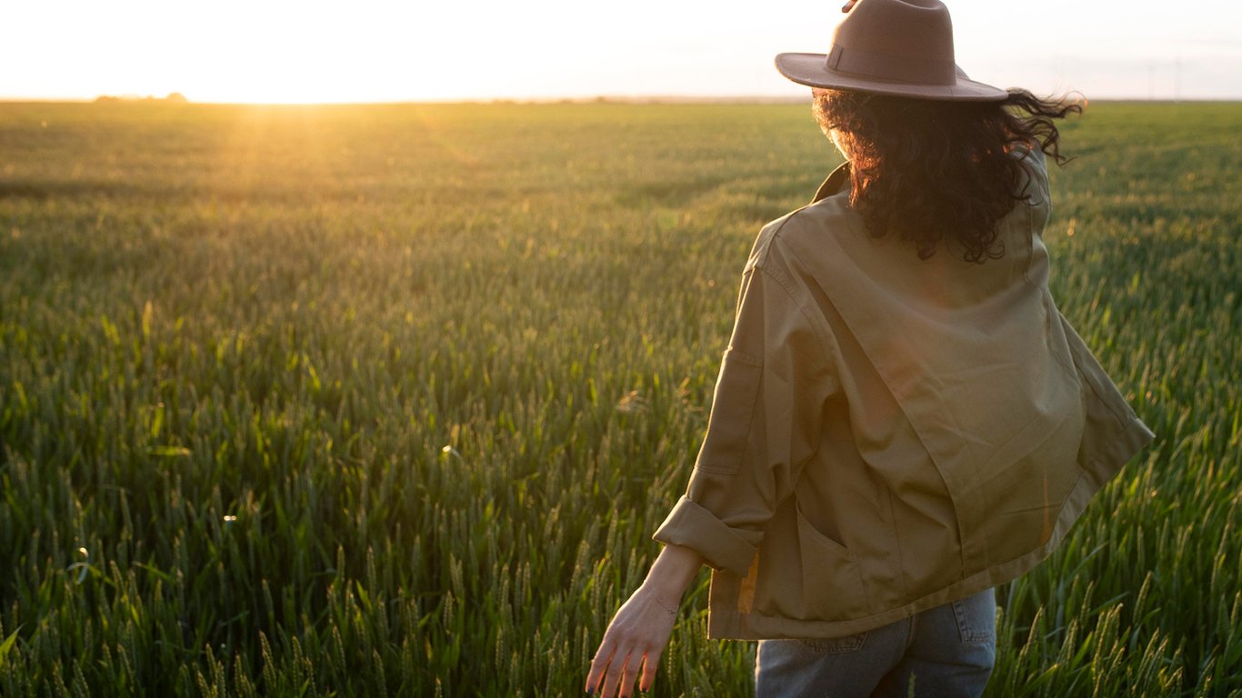 The price of a hectare has decreased — where land has become cheaper the most